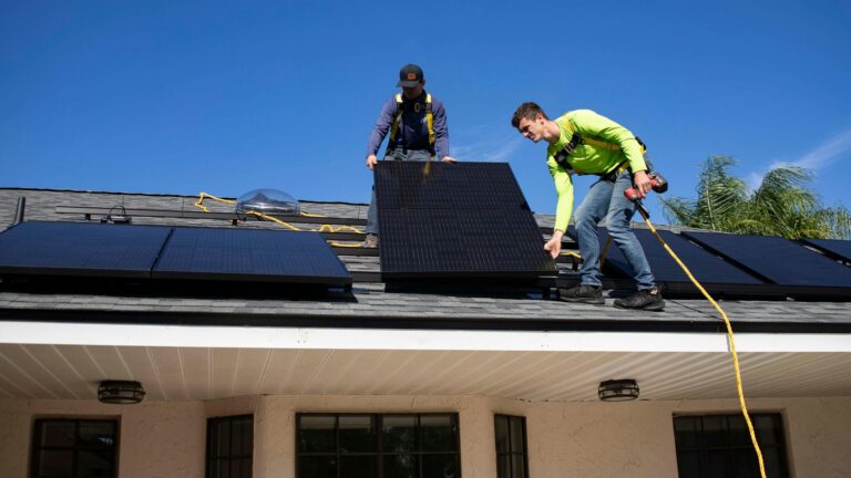 solar panel service