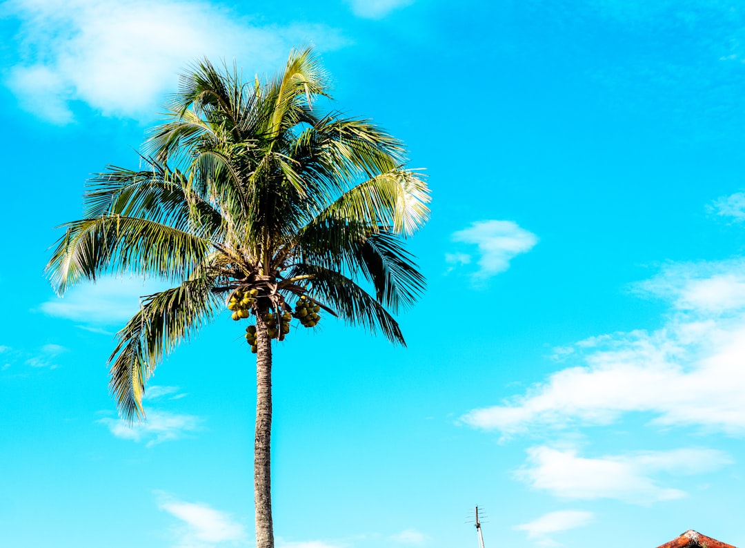 best thermostat settings for hot climates
